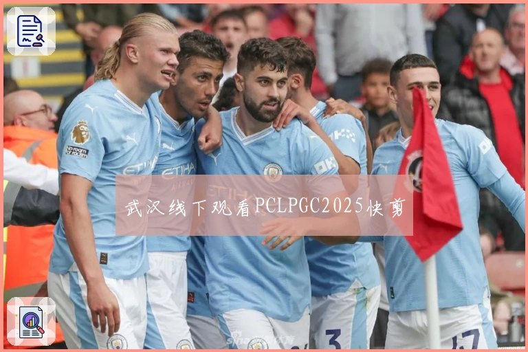 武汉线下观看PCLPGC2025快剪