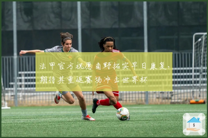 法甲官方祝愿南野拓实早日康复，期待其重返赛场冲击世界杯