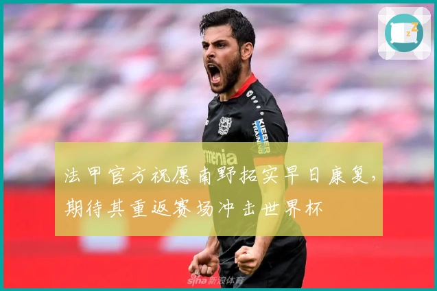 法甲官方祝愿南野拓实早日康复，期待其重返赛场冲击世界杯